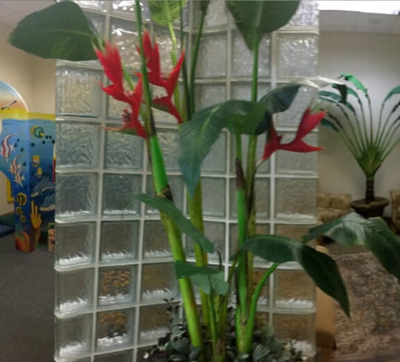 New patients welcomed at Azari & Zahedi Dentistry in Jacksonville