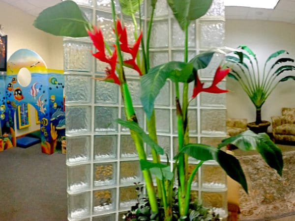 Reception area at Azari & Zahedi Dentistry